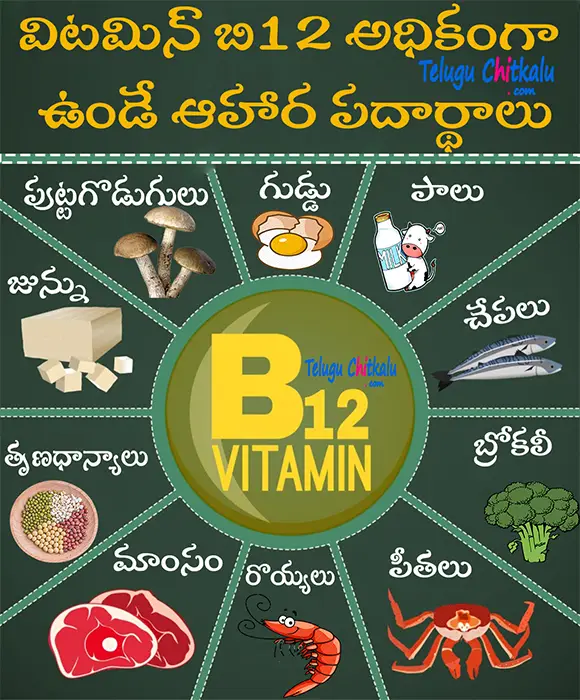 vitamin b12 foods telugu
